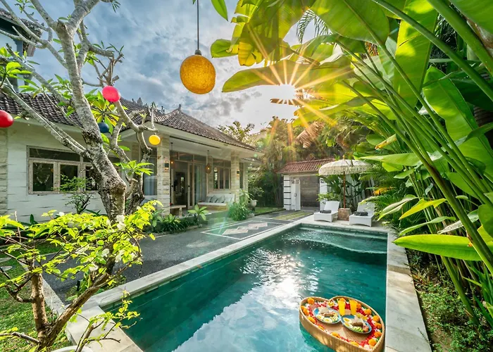 Kensington فيلة سمينياك