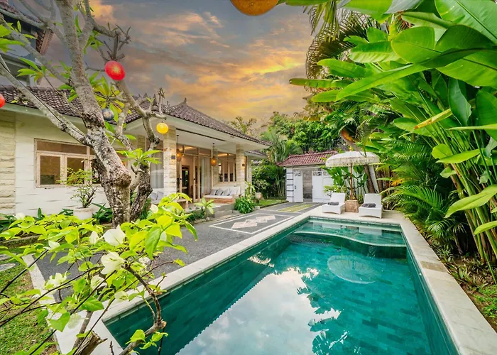 Kensington فيلة سمينياك
